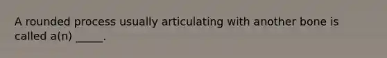 A rounded process usually articulating with another bone is called a(n) _____.