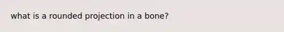 what is a rounded projection in a bone?