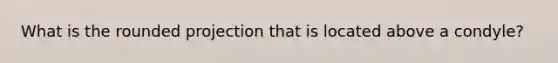 What is the rounded projection that is located above a condyle?