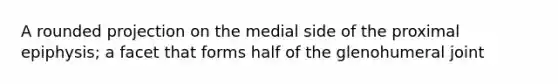 A rounded projection on the medial side of the proximal epiphysis; a facet that forms half of the glenohumeral joint