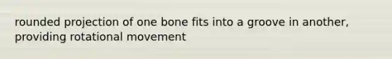 rounded projection of one bone fits into a groove in another, providing rotational movement