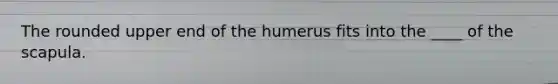 The rounded upper end of the humerus fits into the ____ of the scapula.