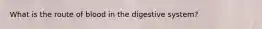 What is the route of blood in the digestive system?