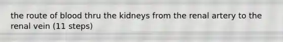 the route of blood thru the kidneys from the renal artery to the renal vein (11 steps)