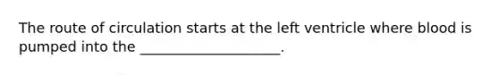 The route of circulation starts at the left ventricle where blood is pumped into the ____________________.