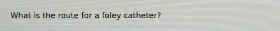 What is the route for a foley catheter?