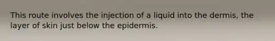 This route involves the injection of a liquid into the dermis, the layer of skin just below the epidermis.