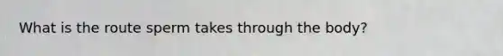What is the route sperm takes through the body?