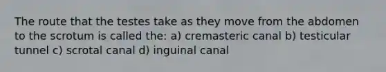 The route that the testes take as they move from the abdomen to the scrotum is called the: a) cremasteric canal b) testicular tunnel c) scrotal canal d) inguinal canal