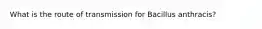 What is the route of transmission for Bacillus anthracis?