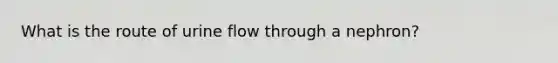 What is the route of urine flow through a nephron?