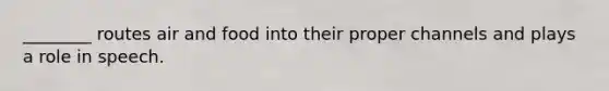 ________ routes air and food into their proper channels and plays a role in speech.