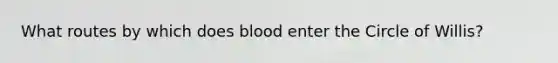 What routes by which does blood enter the Circle of Willis?