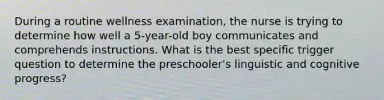 During a routine wellness examination, the nurse is trying to determine how well a 5-year-old boy communicates and comprehends instructions. What is the best specific trigger question to determine the preschooler's linguistic and cognitive progress?