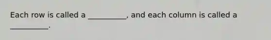 Each row is called a __________, and each column is called a __________.