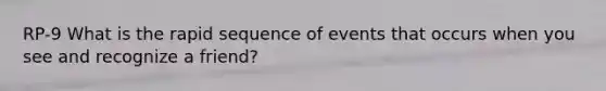 RP-9 What is the rapid sequence of events that occurs when you see and recognize a friend?