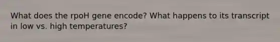 What does the rpoH gene encode? What happens to its transcript in low vs. high temperatures?