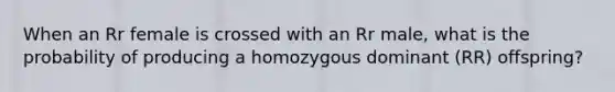 When an Rr female is crossed with an Rr male, what is the probability of producing a homozygous dominant (RR) offspring?