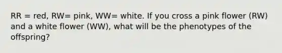 RR = red, RW= pink, WW= white. If you cross a pink flower (RW) and a white flower (WW), what will be the phenotypes of the offspring?