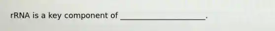 rRNA is a key component of ______________________.
