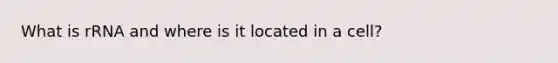 What is rRNA and where is it located in a cell?