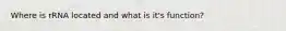 Where is rRNA located and what is it's function?