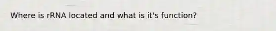 Where is rRNA located and what is it's function?