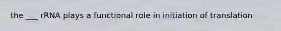 the ___ rRNA plays a functional role in initiation of translation