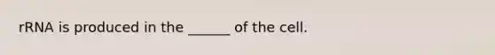 rRNA is produced in the ______ of the cell.