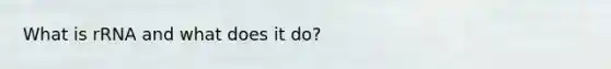 What is rRNA and what does it do?
