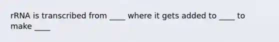 rRNA is transcribed from ____ where it gets added to ____ to make ____