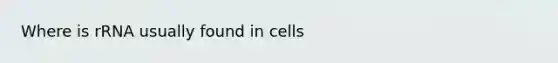 Where is rRNA usually found in cells