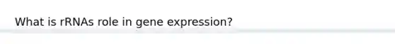 What is rRNAs role in gene expression?