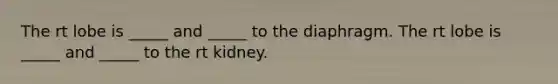 The rt lobe is _____ and _____ to the diaphragm. The rt lobe is _____ and _____ to the rt kidney.