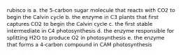 rubisco is a. the 5-carbon sugar molecule that reacts with CO2 to begin the Calvin cycle b. the enzyme in C3 plants that first captures CO2 to begin the Calvin cycle c. the first stable intermediate in C4 photosynthesis d. the enzyme responsible for splitting H2O to produce O2 in photosynthesis e. the enzyme that forms a 4-carbon compound in CAM photosynthesis