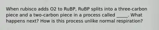 When rubisco adds O2 to RuBP, RuBP splits into a three-carbon piece and a two-carbon piece in a process called _____. What happens next? How is this process unlike normal respiration?