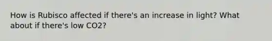 How is Rubisco affected if there's an increase in light? What about if there's low CO2?