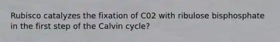 Rubisco catalyzes the fixation of C02 with ribulose bisphosphate in the first step of the Calvin cycle?