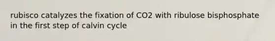 rubisco catalyzes the fixation of CO2 with ribulose bisphosphate in the first step of calvin cycle