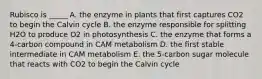 Rubisco is _____ A. the enzyme in plants that first captures CO2 to begin the Calvin cycle B. the enzyme responsible for splitting H2O to produce O2 in photosynthesis C. the enzyme that forms a 4-carbon compound in CAM metabolism D. the first stable intermediate in CAM metabolism E. the 5-carbon sugar molecule that reacts with CO2 to begin the Calvin cycle