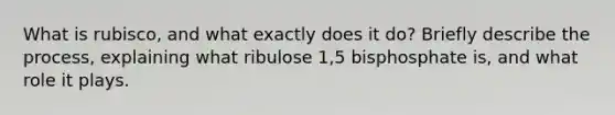 What is rubisco, and what exactly does it do? Briefly describe the process, explaining what ribulose 1,5 bisphosphate is, and what role it plays.