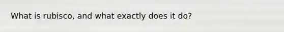 What is rubisco, and what exactly does it do?