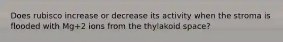 Does rubisco increase or decrease its activity when the stroma is flooded with Mg+2 ions from the thylakoid space?