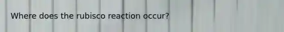 Where does the rubisco reaction occur?