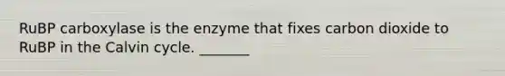 RuBP carboxylase is the enzyme that fixes carbon dioxide to RuBP in the Calvin cycle. _______