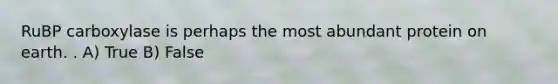 RuBP carboxylase is perhaps the most abundant protein on earth. . A) True B) False