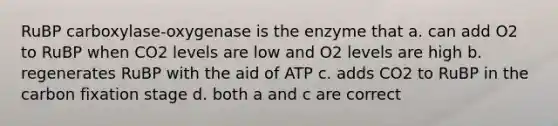 RuBP carboxylase-oxygenase is the enzyme that a. can add O2 to RuBP when CO2 levels are low and O2 levels are high b. regenerates RuBP with the aid of ATP c. adds CO2 to RuBP in the carbon fixation stage d. both a and c are correct