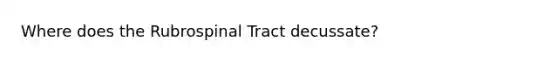 Where does the Rubrospinal Tract decussate?