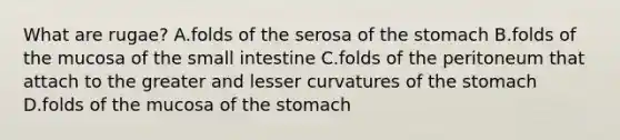 What are rugae? A.folds of the serosa of the stomach B.folds of the mucosa of the small intestine C.folds of the peritoneum that attach to the greater and lesser curvatures of the stomach D.folds of the mucosa of the stomach