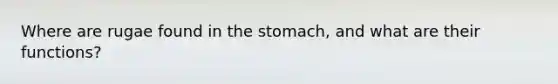 Where are rugae found in the stomach, and what are their functions?